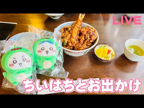 【Live】浅草寺行ってきたので梅園のあんみつを食べる配信【天川支月】