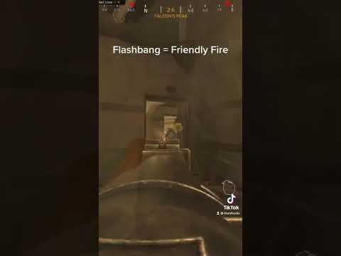 Friendly Fire Flashbang