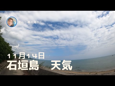 【石垣島天気】11月15日13時ごろ。15秒でわかる今日の石垣島の様子。