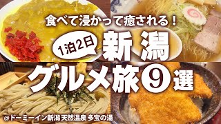 【新潟グルメひとり旅】新潟駅周辺！はじめての新潟で名物グルメを食べ歩き！モデルコース