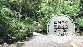 【親子自然景點】富陽自然生態公園 都市裡的自然叢林