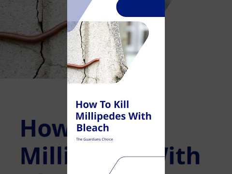 Millipede Meltdown: Eliminate with Bleach! #shorts