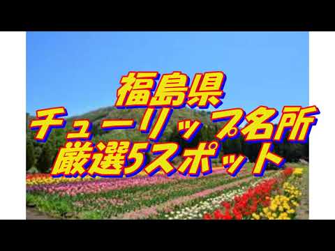 07【福島県】チューリップの名所＜5選＞