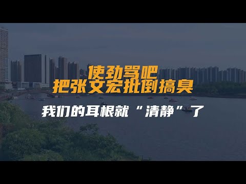 使劲骂吧，把张文宏批倒搞臭，我们的耳根就“清静”了