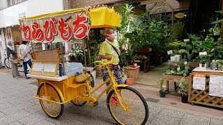 102歳のわらびもち！ご主人から伝授されたわらび餅を奥さんが売り続ける