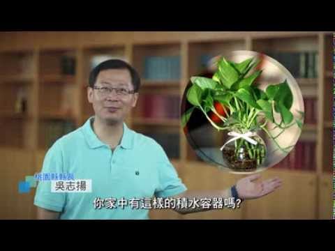 政令宣導片-登革熱防治