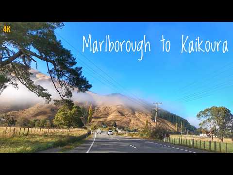 Marlborough To Kaikoura New Zealand Driving Tour 2024 4K | Havelock - Blenheim - Kaikoura NZ Tour