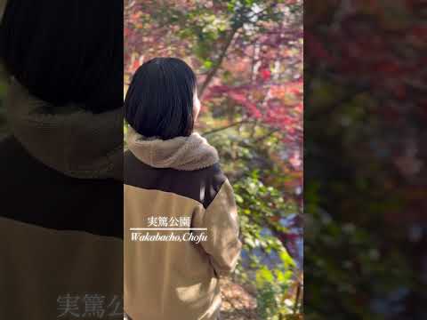 紅葉する実篤公園