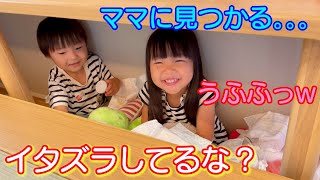 イタズラが止まらない双子ちゃん