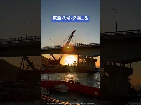 東亜八号×夕陽…＆カモメ♡【15秒】2024/11/13#Shorts #東亜八号 #マルトヨ渡島土木 #夕陽 #ふなだまり