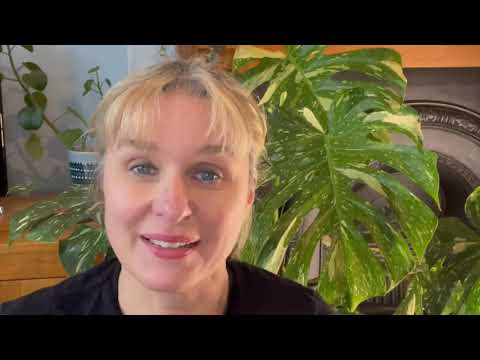 Winter houseplant care with Jane Perrone