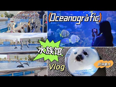 vlog｜西班牙瓦伦西亚Oceanogràfic水族馆🐬欧洲最大水族馆与海洋生物奇观 | 海豚表演、鲨鱼隧道、白鲸、热带鱼与更多精彩🌊｜Valencia 闺蜜游记｜小米丘XiaoMiChu