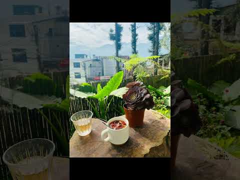 Quán Café view đẹp sapa nằm trên đỉnh dốc . View cực chill