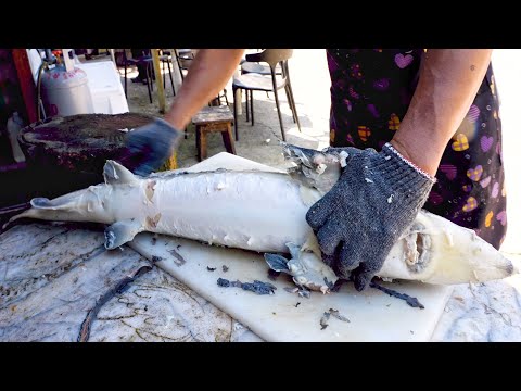 Living over 100 million years !! Endangered species - Chinese Sturgeon Fish Cutting Skills