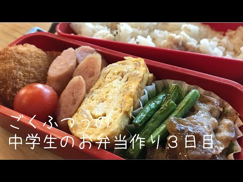 ３日目♫ごく普通の中学生のお弁当づくり♫はずれなしのツナ卵♫