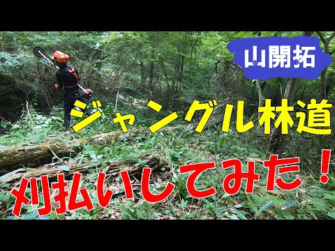 【山開拓】何十年放置の廃林道を刈払機で整備してみた！