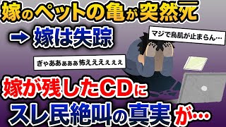 【伝説のスレ】嫁のペットの亀がﾀﾋんだ。俺「寿命だったんだよ」嫁「違うの！」→スレ民絶叫の真相が明らかに…【2ch修羅場スレ・ゆっくり解説】【前編】