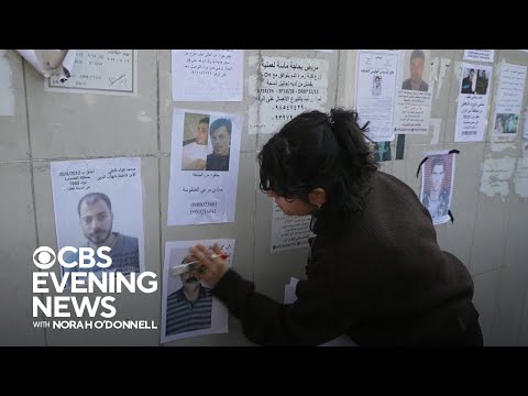 Some Syrians living abroad returning after fall of Assad regime