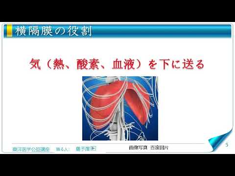 東洋医学公益講座　第291回黄帝内経‗通評虚実論1