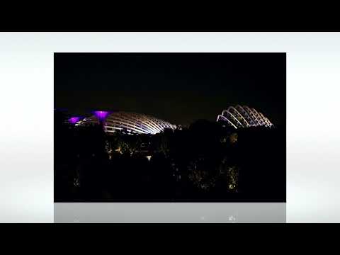 Singapore Gardens by the Bay - Rhapsody (Night Light Show) 新加坡濱海灣晚上燈光秀 #rhapsody #gardensbythebay