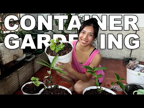 How I Prepared Soil For Container Gardening In Tropical Vietnam