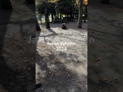 Japan autumn 2024