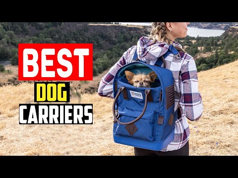 ✅Top 5 Best Dog Carriers Tested With Real Canines Inside in 2025