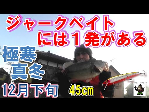 【バス釣り】霞ヶ浦_常陸利根川_12月下旬_・・2021年12月18日～26日