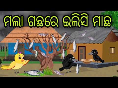 ମଲା ଗଛରେ ଇଲିସି ମାଛ | Mala Gachhare Ilishi Machha | Tiki Chadhei Gapa | Odia Chadhei Gapa | New Story