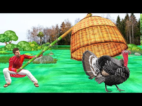 Lalchi Turkey Chicken Wala Hindi kahaniya Greedy Chicken Hindi Moral Stories New Funny Comedy Video