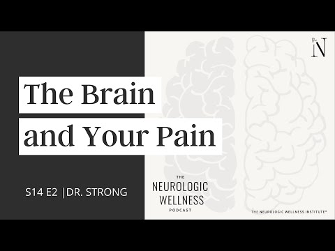 The Brain and Your Pain