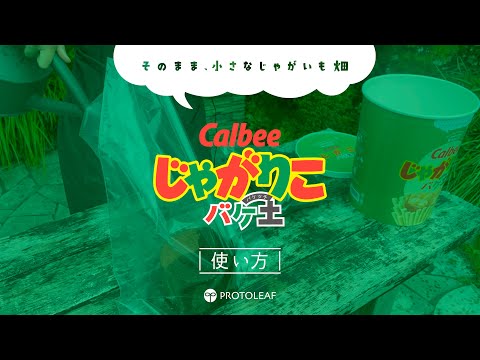 【じゃがりこバケ土】じゃがいも栽培編① 〜準備・植えつけ〜