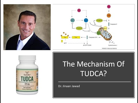 How Does TUDCA Work?