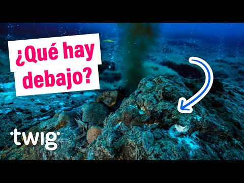 Los científicos han hecho un sorprendente descubrimiento bajo el suelo oceánico