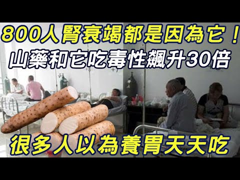 800人腎衰竭都是因為它！山藥和它吃毒性飆升30倍，很多人以為養胃天天吃。尤其中老年人#三味書屋#健康#山藥禁忌#養胃#中毒