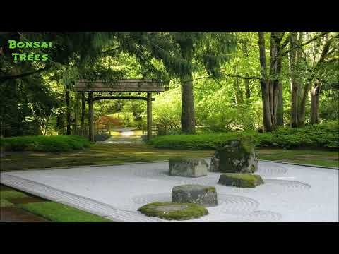 Beautiful Japanese Music   Koto Music & Shakuhachi Music