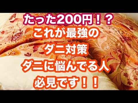 たった２００円で出来る最強のダニ対策　ダニでお困りの人必見！！