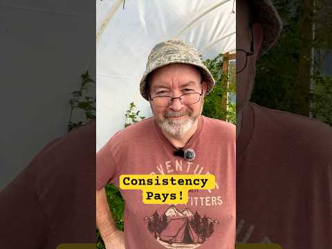 Slow and Steady Wins the Race: PawPaw’s Money Advice 🐢💰