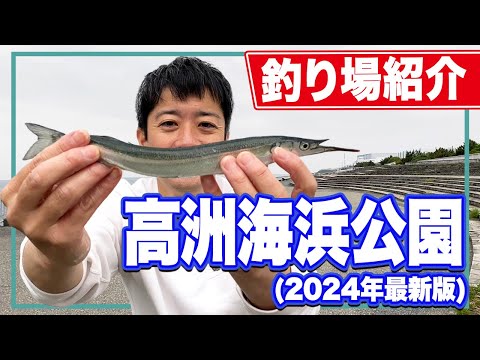 【高洲海浜公園】GWにお薦め！今が旬のサヨリを狙うなら絶対にココ！