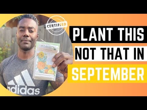 What can I plant this month? September Planting Schedule : Zone 9