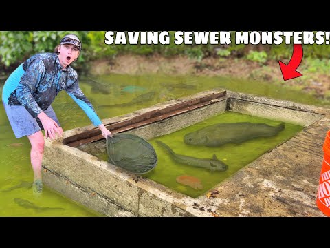 Saving MONSTER FISH From FLOODED SEWER!