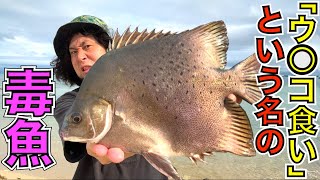 「ウンコ食い」という名の毒魚を食べてみた&刺されてみた