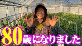 【80歳になりました】いつも応援ありがとうございます。これからもよろしくお願いします。【ひろちゃん農園】