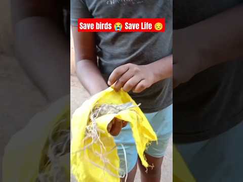 Save Bird's #shortsfeed #ashwanivlogs Save Life  #youtubeshort