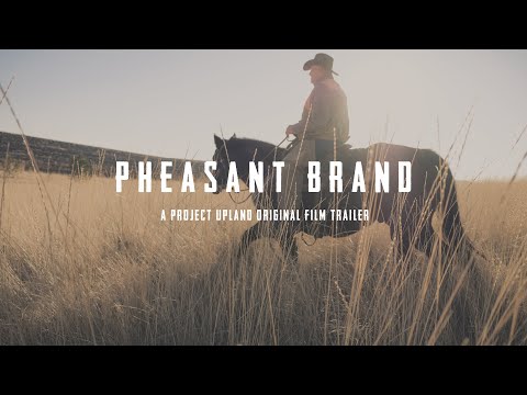 Pheasant Hunting on horseback - Pheasant Brand Trailer - Presented by Dogtra