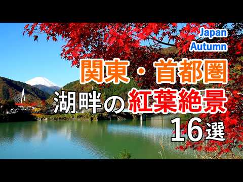 Best 16 Waterside Autumn Foliage Views in Kanto / Beautiful Scenery of Japan [ 4K ]