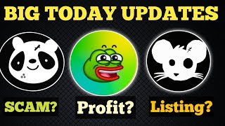 Memeland New Update Today | Pandas Real Fake? | Rats Kingdom Update Today | Memeland Withdrawal