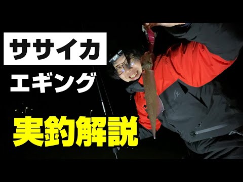 初心者でも簡単！ササイカ餌巻きエギングをわかりやすく解説【82釣目】