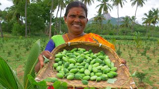 FRESH !! IVY Gourd Fry | Kovakkai Poriyal | Veg Village Food Cooking in Village | Side Dish Recipes