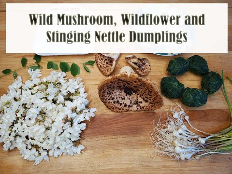 Forage to Table: Wild Mushroom, Nettle, Wildflower Dumplings